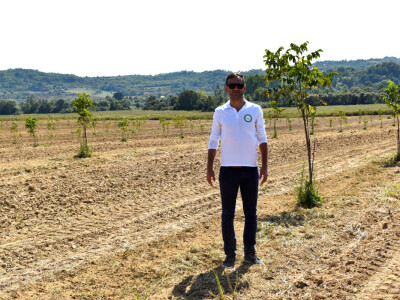 Nasad oraha u Levanjskoj Varoši - Vitalis Nasad oraha u Levanjskoj Varoši - Vitalis