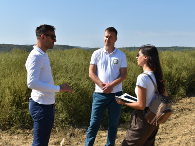 Nasad oraha u Levanjskoj Varoši - Vitalis Nasad oraha u Levanjskoj Varoši - Vitalis