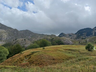 Naše trave interesantne i za istraživače sa Novog zelanda