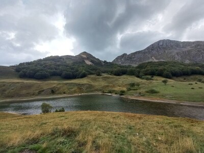 Naše trave interesantne i za istraživače sa Novog zelanda