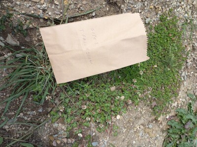 Naše trave interesantne i za istraživače sa Novog zelanda