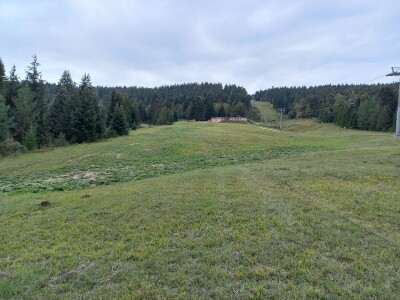 Naše trave interesantne i za istraživače sa Novog zelanda