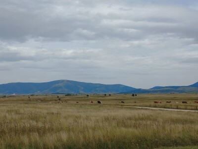 Naše trave interesantne i za istraživače sa Novog zelanda