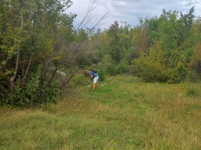 Naše trave interesantne i za istraživače sa Novog zelanda