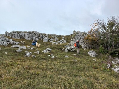Naše trave interesantne i za istraživače sa Novog zelanda