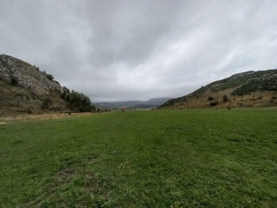 Naše trave interesantne i za istraživače sa Novog zelanda