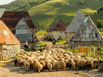 Našem Dragi srce kao Kozara: Nigdje nema ljepših sela