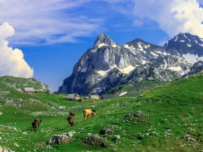 Našem Dragi srce kao Kozara: Nigdje nema ljepših sela