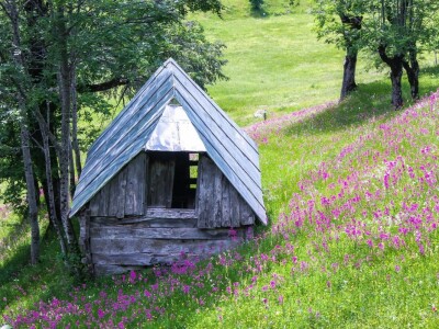 Našem Dragi srce kao Kozara: Nigdje nema ljepših sela