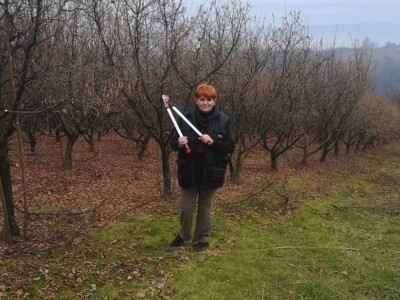 Voćnjak Ruže Maune Bošnjak