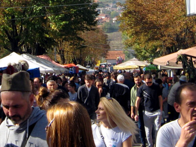 Oplenačka berba oborila rekord - "potukla" sve manifestacije u Srbiji!