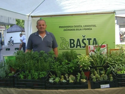 Vladina Bašta