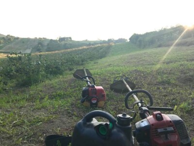 slike za tekst slike za tekst