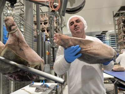 Posjet novinara Žito grupaciji