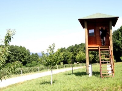 Vladimir Sevšek životnu ušteđevinu uložio u ekološki uzgoj