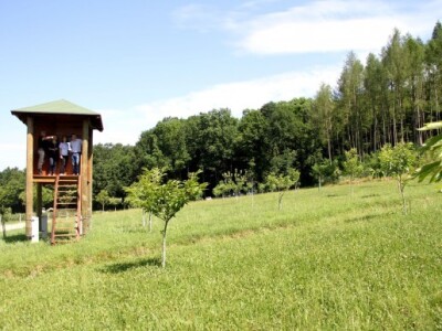 Za zaštitu bilja na plantaži koristi isključivo dozvoljene ekološke preparate