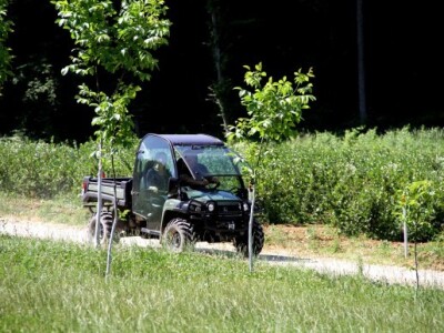 Sukladno poslovnom planu, nakon kupnje i pripreme zemljišta za sadnju, pristupilo se podizanju nasada aronije