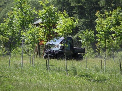 Jedno od značajnih ulaganja tangiralo je nabavu poljoprivredne mehanizacije i opreme za potrebe obrade ekološkog nasada