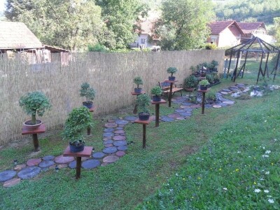 Japanski vrt od ostatka okućnice ograđen je bambusom Japanski vrt od ostatka okućnice ograđen je bambusom