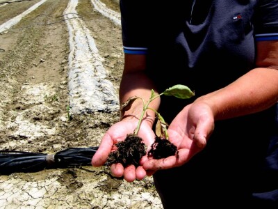 Gruža posle poplava