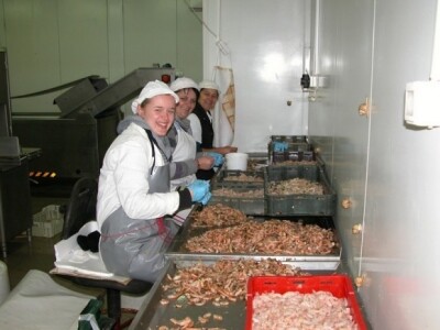 Nasmijane radnice u tvornici za preradu ribe  Felicita Konjsko