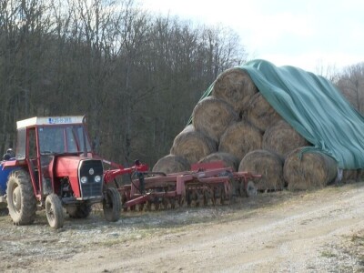 Nastavio tradiciju od pradjeda: Nova mljekara potencijal za širenje