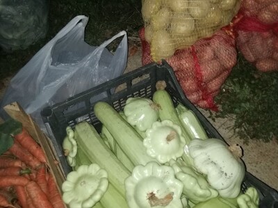 Natalija Šunjić-Gizdić