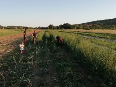 Natalija Šunjić-Gizdić