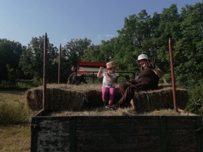 Natalija Šunjić-Gizdić