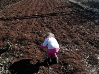 Natalija Šunjić-Gizdić