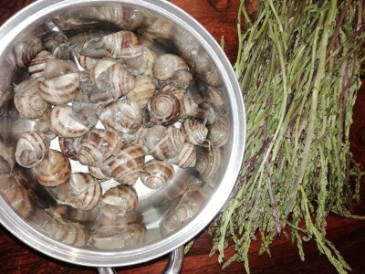 Natalija Šunjić-Gizdić