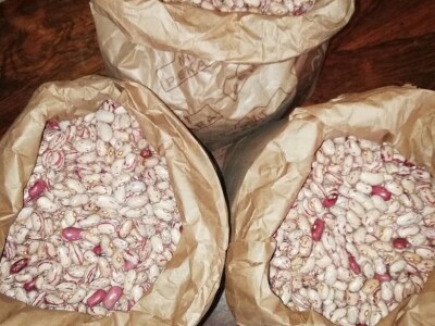 Natalija Šunjić-Gizdić