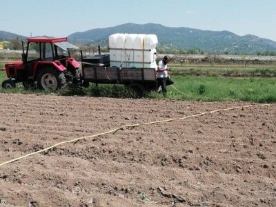 Natalija Šunjić-Gizdić