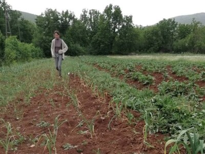 Natalija Šunjić-Gizdić