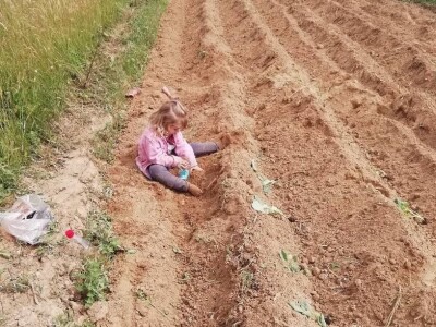 Natalija Šunjić-Gizdić