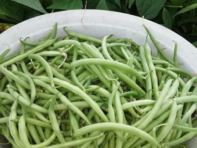 Natalija Šunjić-Gizdić