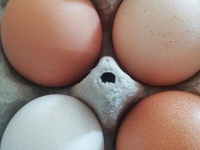 Natalija Šunjić-Gizdić