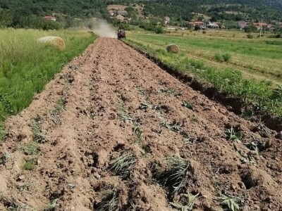 Natalija Šunjić-Gizdić