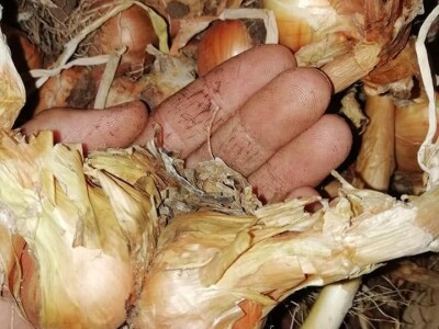 Natalija Šunjić-Gizdić