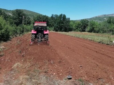 Natalija Šunjić-Gizdić