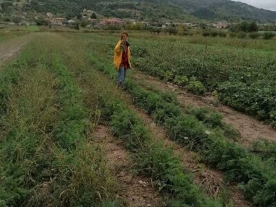 Natalija Šunjić-Gizdić