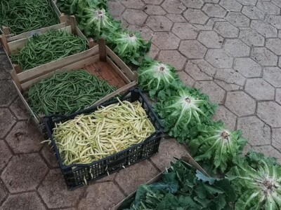 Natalija Šunjić-Gizdić