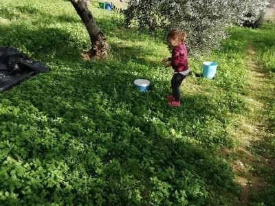 Natalija Šunjić-Gizdić