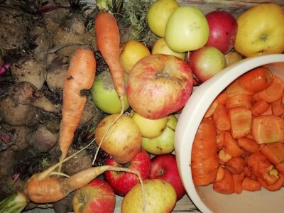 Natalija Šunjić-Gizdić