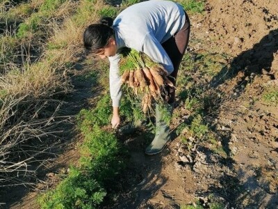 Natalija Šunjić-Gizdić