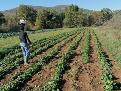 Natalija Šunjić-Gizdić