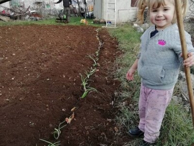 Natalija Šunjić-Gizdić