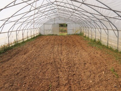 Nataša palstenici Derventa