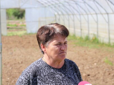 Nataša palstenici Derventa