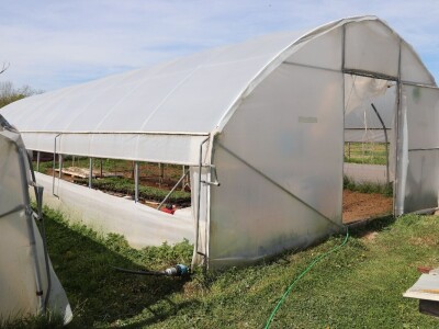 Nataša palstenici Derventa